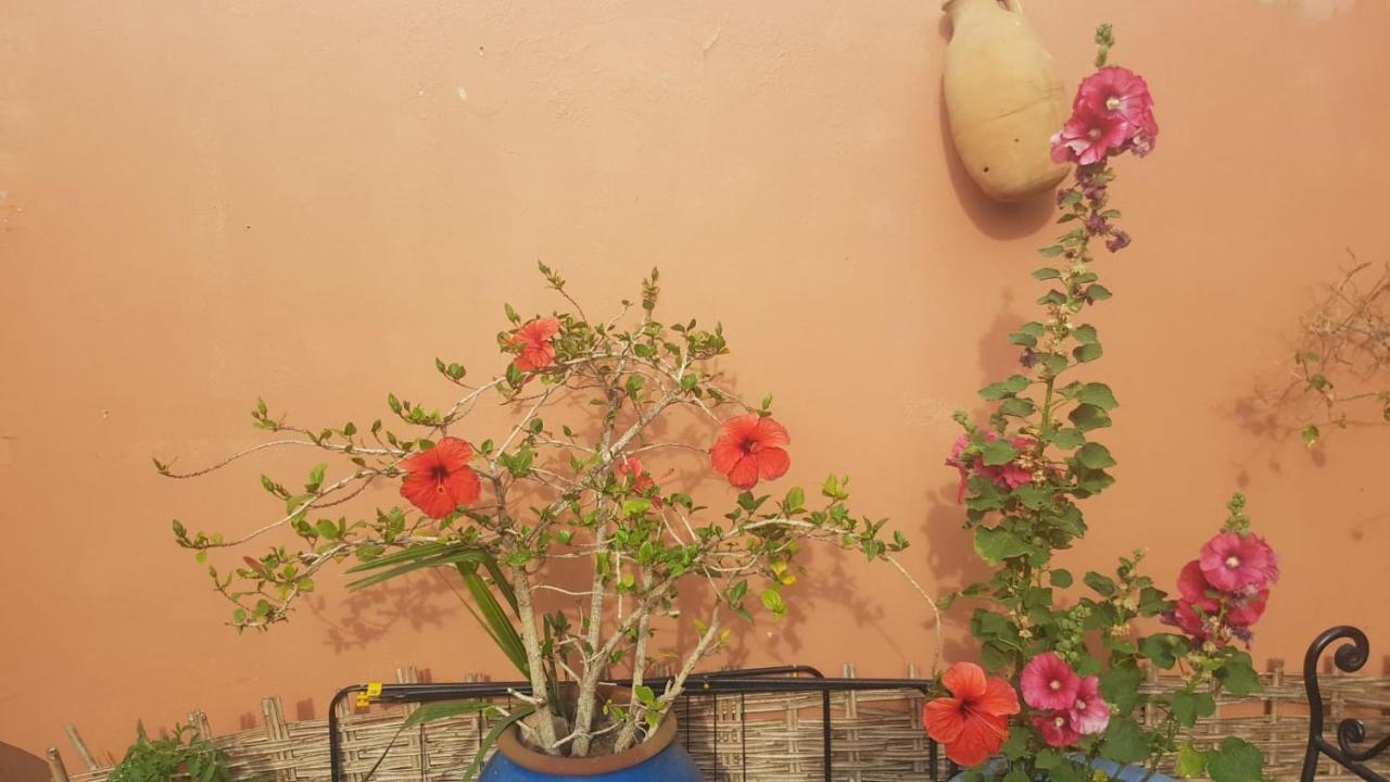 Chambres D'Hotes Les Amis Taroudant Exterior foto