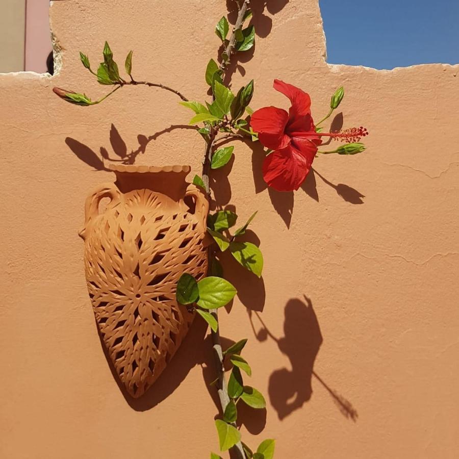 Chambres D'Hotes Les Amis Taroudant Exterior foto